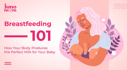 Breastfeeding 101: How Your Body Produces the Perfect Milk for Your Baby